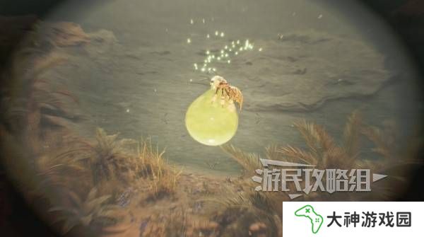 怪物獵人荒野大回復(fù)蜜蟲位置在哪  大回復(fù)蜜蟲捕獲路線圖片5