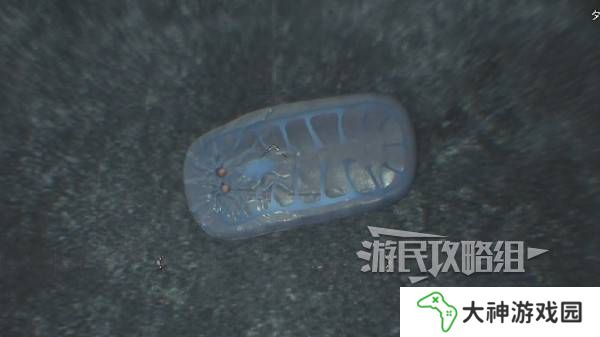 怪物獵人荒野大虛無動在哪捕獲    大虛無動捕獲攻略圖片8